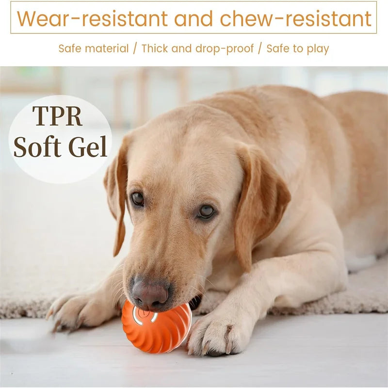 Smart Interactive Pet Toy Ball – USB Rechargeable Automatic Bouncing Ball for Dogs & Cats